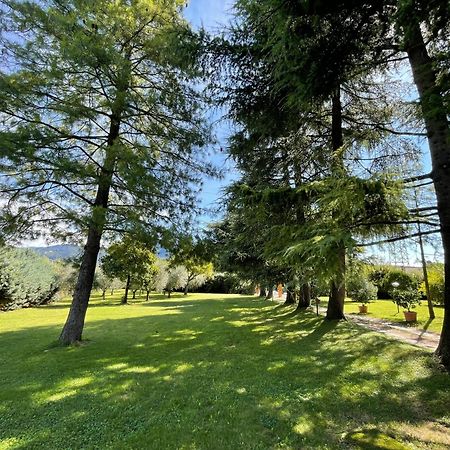 Secret Garden Egle Villa Caprino Veronese Bagian luar foto