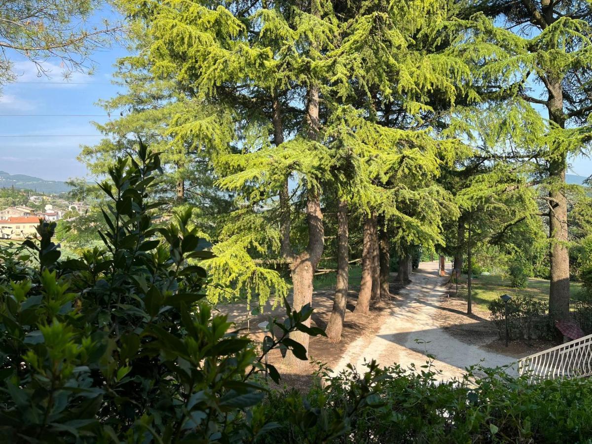 Secret Garden Egle Villa Caprino Veronese Bagian luar foto